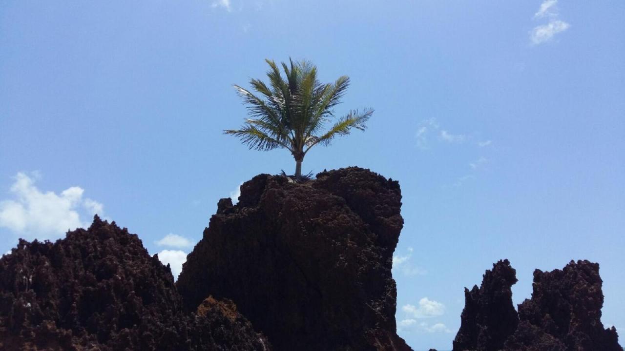 Sol E Mar Solar Do Atlantico-Tambau-Joao Pessoa Lejlighed Eksteriør billede